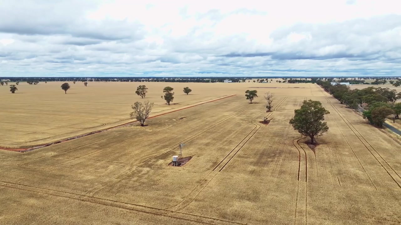 Overhead view of wheat paddocks with an old windmill and water tank in the crop
