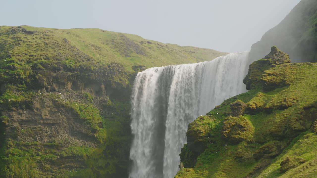majestuosa cascada de skogafoss en islandia, hermoso día soleado con pájaros volando sobre los acantilados y rocas de musgo