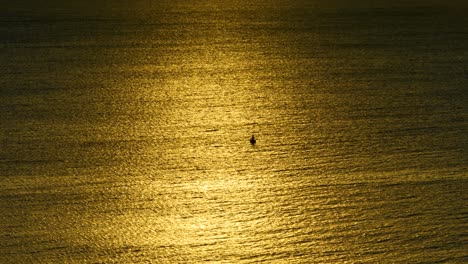 gold coast water front view sunrise during winter