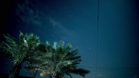 clear starry night sky with trees