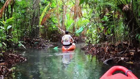 exploring lush waterways in a kayak adventure