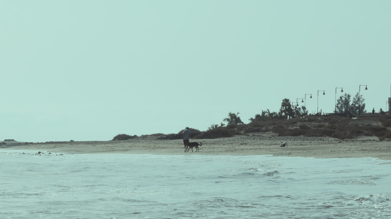 Walks on the city beach
