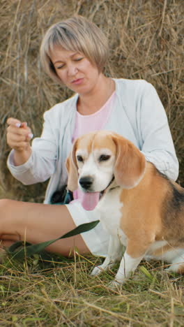primer plano de la dueña del perro frotando suavemente a su perro lúdico mientras descansa en la bala de heno en una vasta tierra de cultivo, un entorno rural sereno pero lúdico con campos ondulados