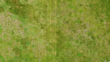 high angle shot of the lawn being cut