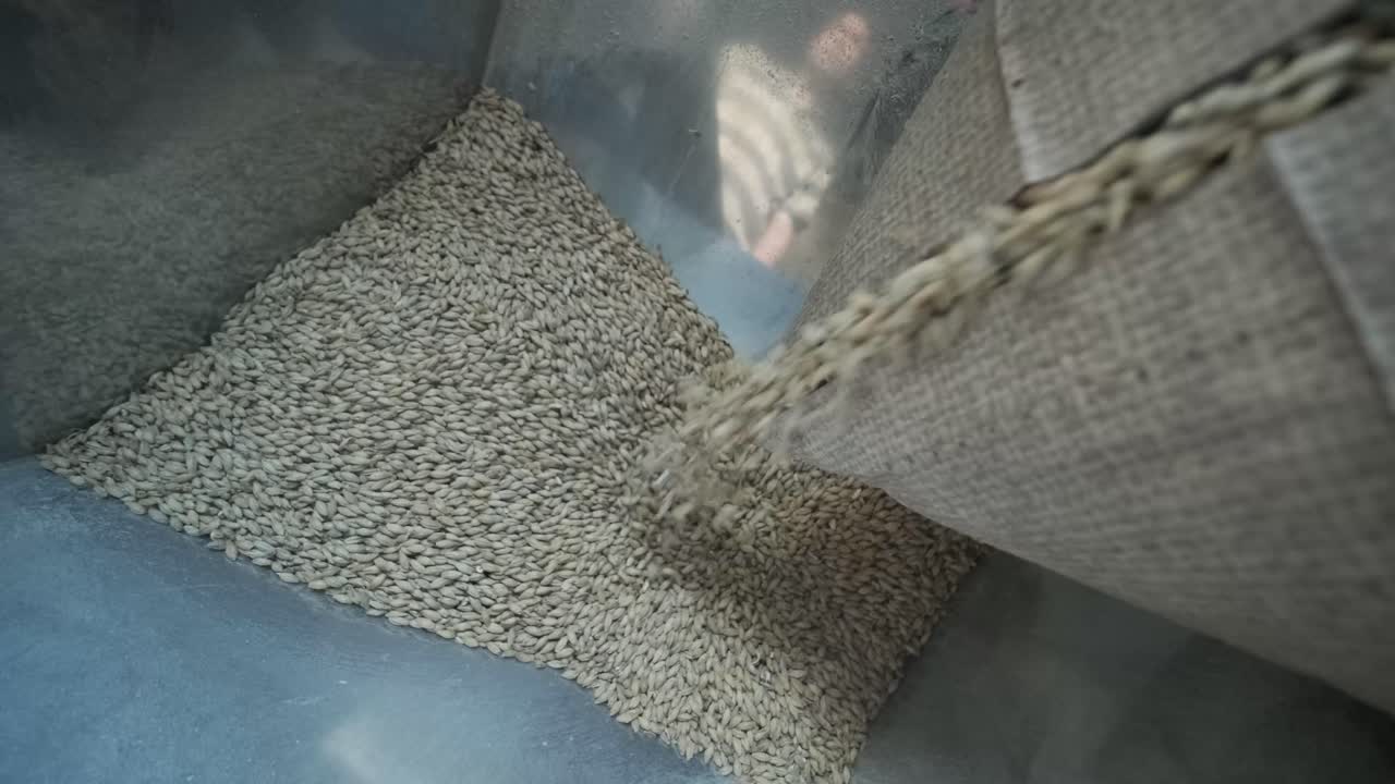 현대적 인 공예 맥주 양조장. 맥주 생산을 위한 몰트. 공예 맥주의 양조. 양조장에서의 현대적인 장비.