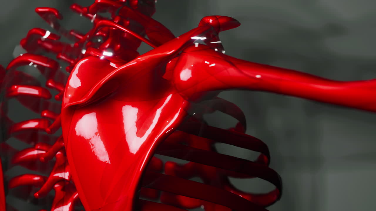 남성  ⁇  해부학의 3d 렌더링 된 의학 애니메이션