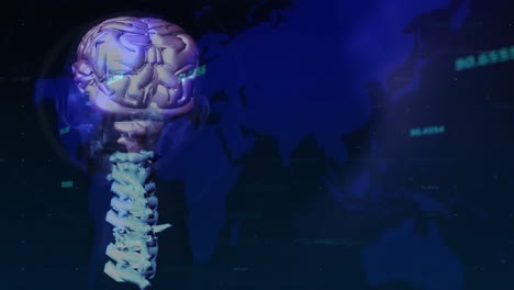 animación del mapa del mundo y los números sobre el cerebro giratorio sobre un fondo azul oscuro