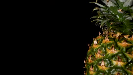 piña orgánica con agua que fluye - primer plano extremo - espacio de copia para texto