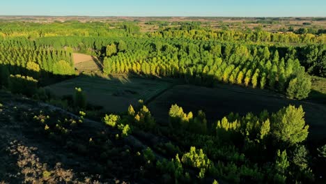 Cinematic-reveal-of-Spanish-church-in-summer-surrounded-by-forest-trees