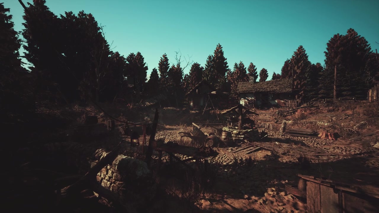 Sundrenched clearing reveals old ruins and mossy stone structures