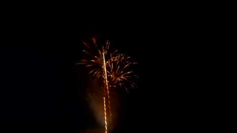 coloridos y hermosos fuegos artificiales explotan en el cielo nocturno.
