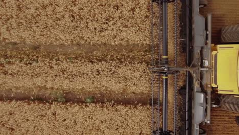 Top-down-closeup-view-of-a-combine-harvester-collecting-wheat