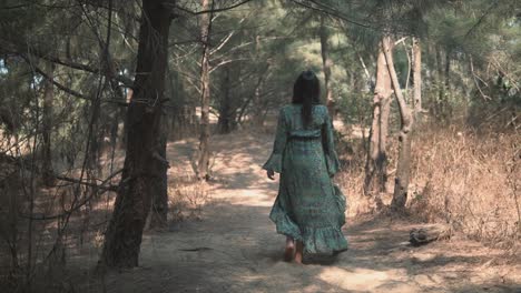 woman in a dress walking through a forest area and dry vegetation