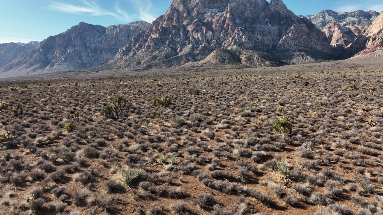 네바다 주 라스베가스에서 유카 식물과 투스가 있는 레드 록 캐니언 근처의 눈 인 산과 푸른 하늘의 기울어지는 모습