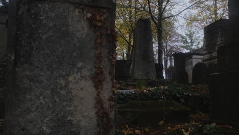 rising shot of an old scary graveyard in an ancient cemetary during a rainy day