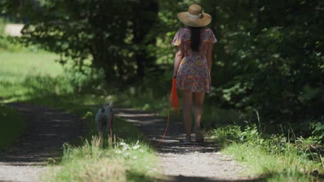 A-woman-with-a-small-white-dog-walks-along-the-narrow-country-road-on-a-sunny-summer-day