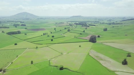 Aerial-View-Of-A-Vast-Meadow-With-Trees,-Animal-Herds-And-Mountains-In-The-Background