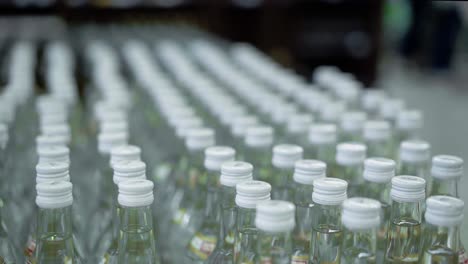 Muchas-Botellas-De-Vodka-En-El-Supermercado.