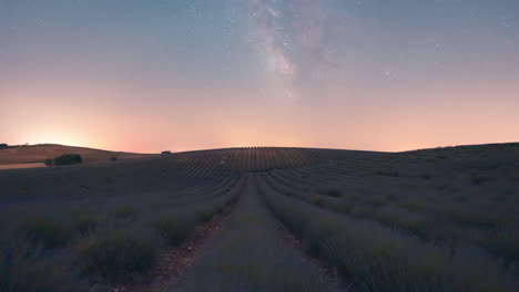 Timelapse-Nocturno-De-Campos-De-Lavanda-En-Castilla-La-Mancha,-España-Con-Vía-Láctea-Cruzando-El-Cielo-Durante-Toda-La-Noche