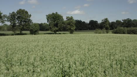 Rural-country-landscape-of-cultivated-fields