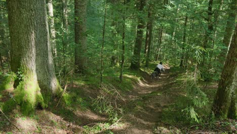 a mountain biker jumps into a steep gully with speed