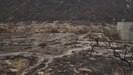 desert landscape with small bushes burned by fairview fire and mud ground, dolly left shot