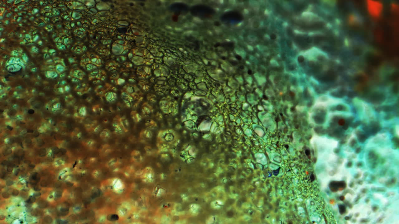 Microscopic View of a Cellular Structure