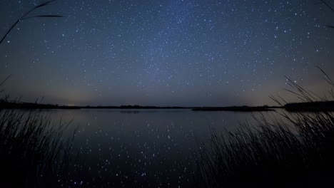starry night over the lake