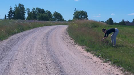 Young-brunette-woman-collects-flowers-in-the-field-near-the-gravel-road-for-summer-solstice-crown-in-sunny-summer-day,-wide-shot-from-a-distance