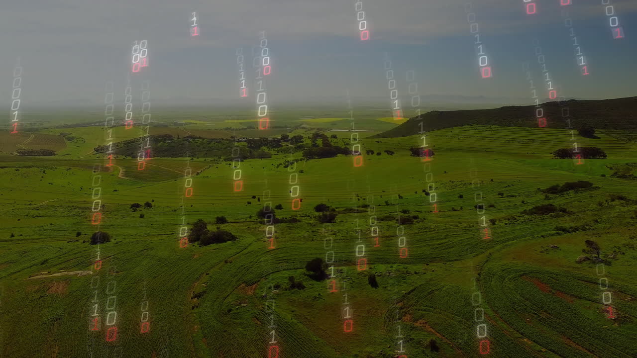 Rolling green farmland streaming binary code overlay with patterned crop rows, faint binary digits