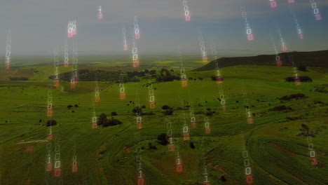 rolling green farmland streaming binary code overlay with patterned crop rows, faint binary digits
