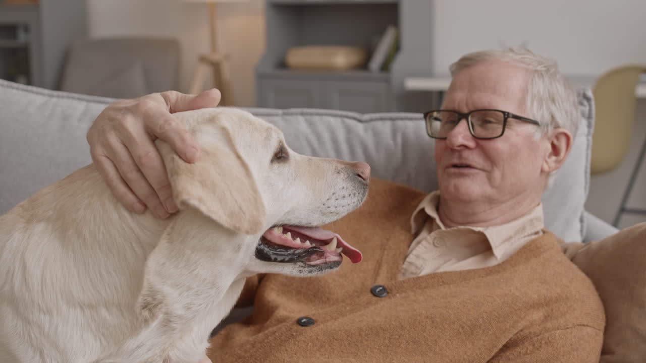 Happy Old Man with Yellow Labrador Retriever at Home