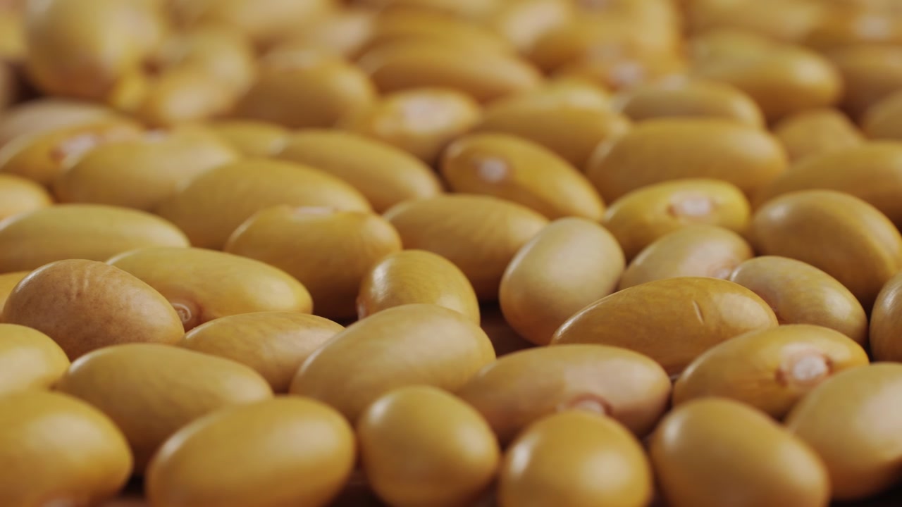Primo piano di fagioli gialli secchi