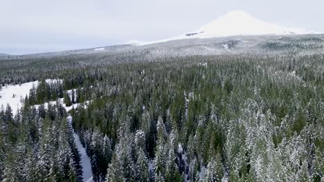 aerial high above ski resort near mount hood