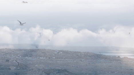animación de nubes con pájaros volando sobre el sitio de eliminación de residuos