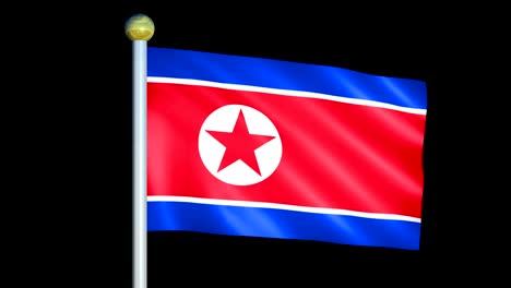 large looping animated flag of north korea