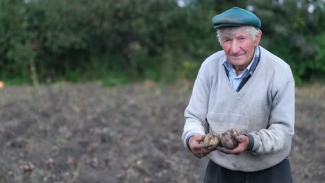 old village worker holding potatoes in his hands old village worker holding potatoes in his hands potato harvesting agriculture farmer holding vegetables in his hands the concept of agriculture