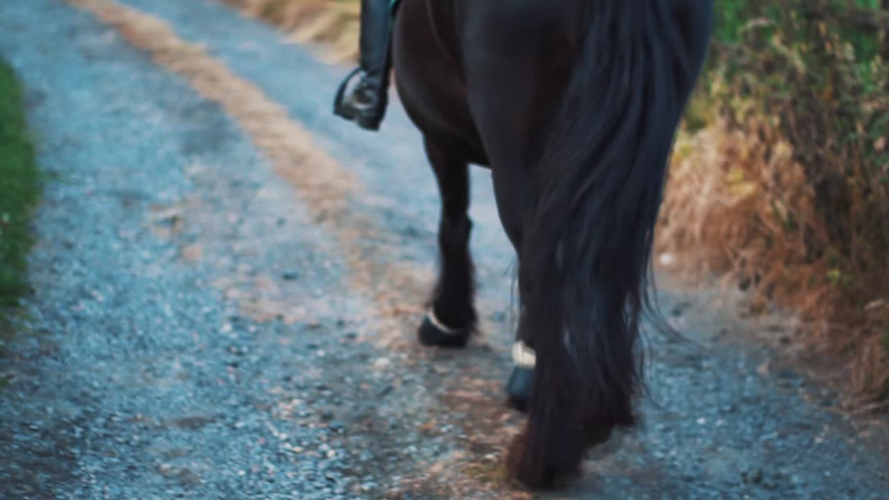 caballo y jinete partiendo hacia una sesión de entrenamiento