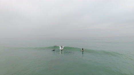 aerial of surfers surfing along coast of south africa