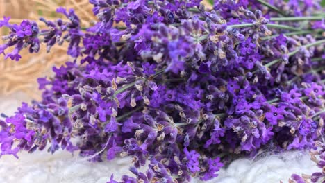 flower rosemary garden cooking kitchen