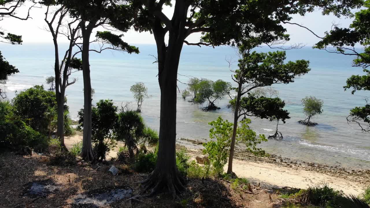 беспилотник движется между деревьями слева направо вдоль пляжа в сторону океана над рифами с бирюзовой водой