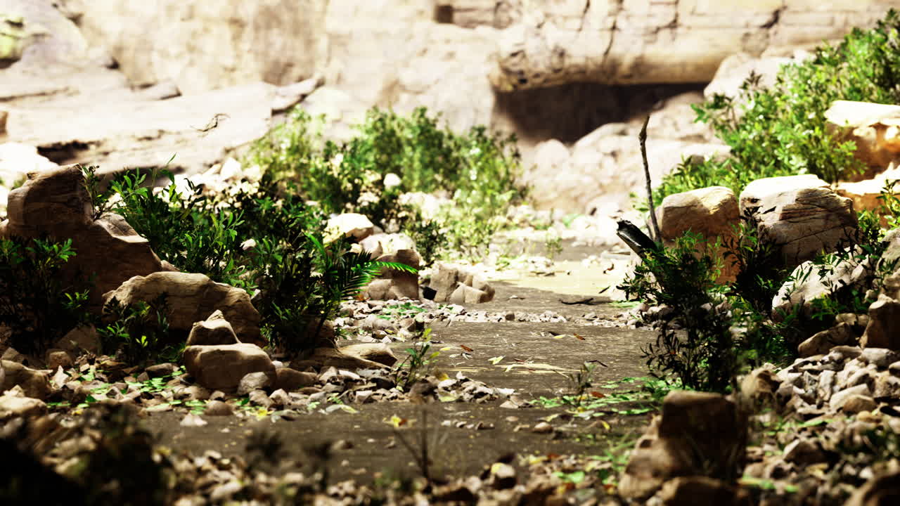 Pathway through a rocky terrain with lush vegetation in natural landscape