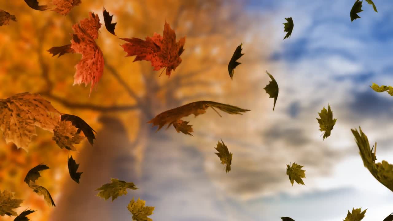 animación de las hojas de otoño que caen sobre el fondo de otoño