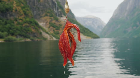 A-Starfish-Hangs-On-A-Hook-Against-The-Backdrop-Of-A-Fjord-In-Norway-4k-Video