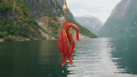 a starfish hangs on a hook against the backdrop of a fjord in norway 4k video