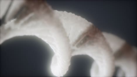 loop double helical structure of dna strand close-up animation