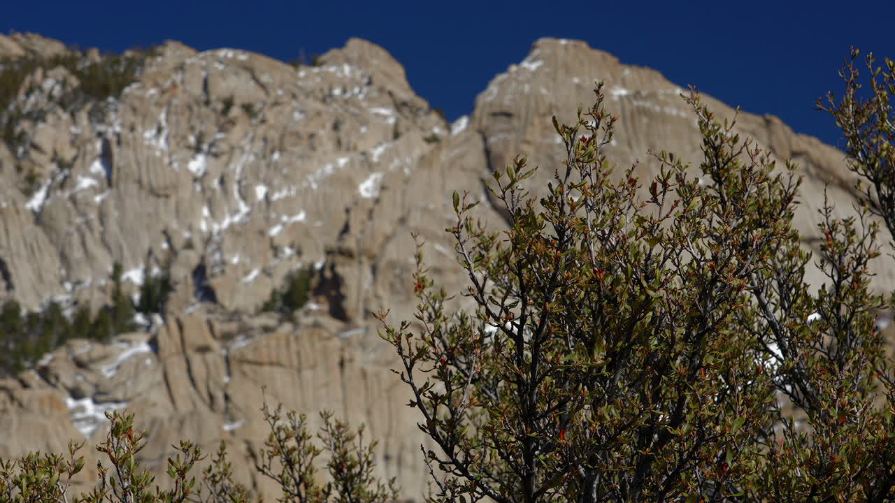 montañas escarpadas y arbustos con nieve temprana de invierno