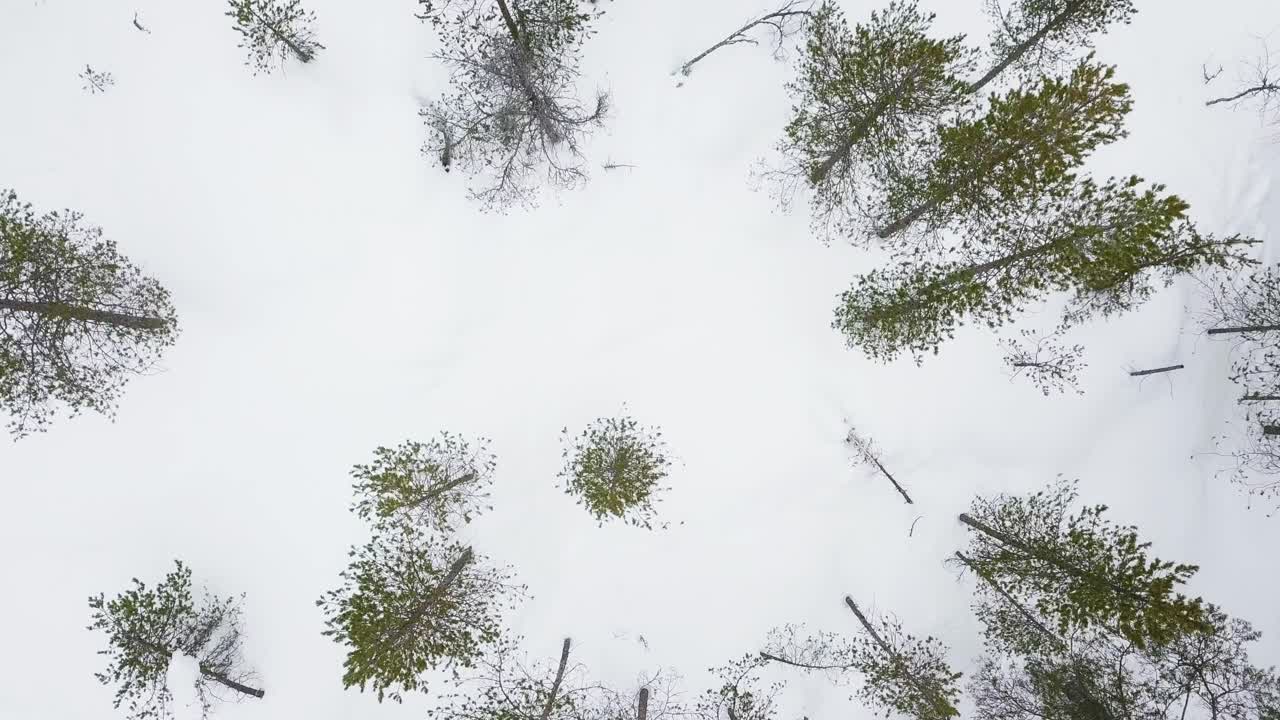 зимние виды с холма оунасваара в рованиеми