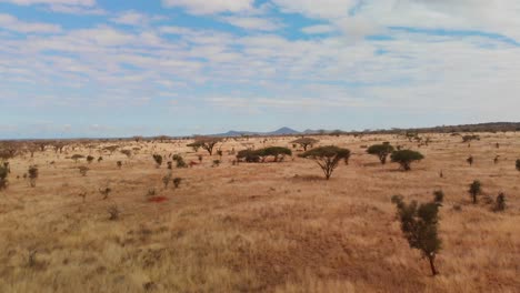 the savanna at tsavo west, near the lions bluff lodge, kenya