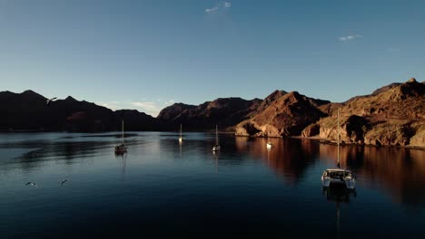 Seevögel-Fliegen-über-Katamarane-Und-Segelboote,-Die-Im-Ruhigen-Wasser-Des-Meeres-In-Baja-California,-Mexiko-Schwimmen